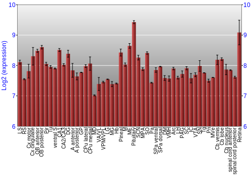 Expression graph