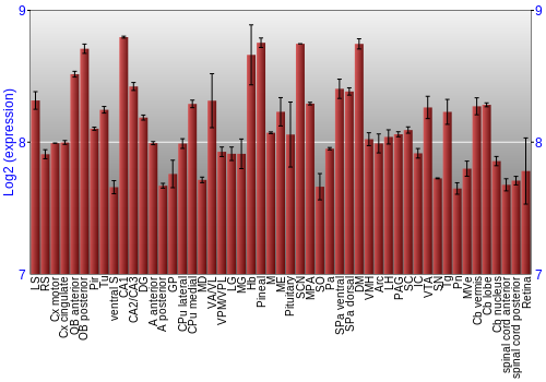 Expression graph