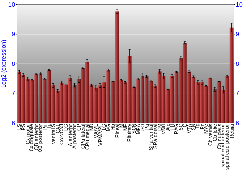 Expression graph