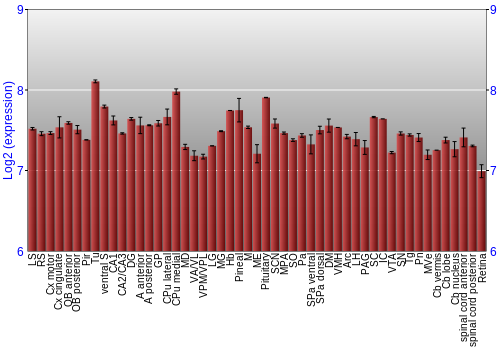 Expression graph