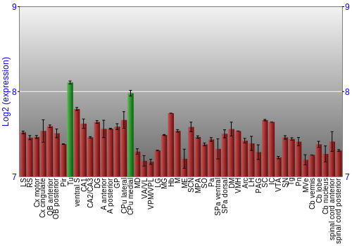 Multi-state expression graph