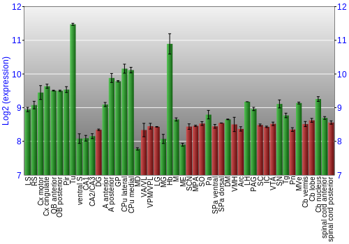 Multi-state expression graph