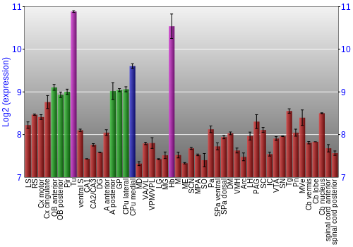 Multi-state expression graph