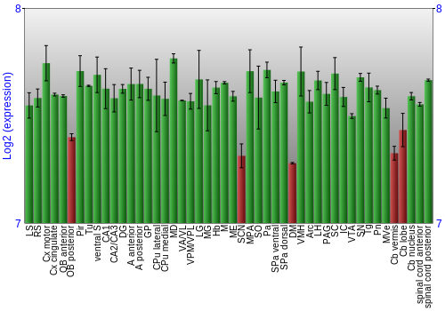 Multi-state expression graph