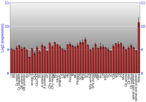 Expression graph