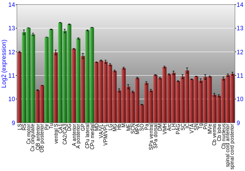 Multi-state expression graph
