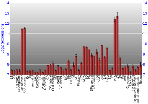 Expression graph