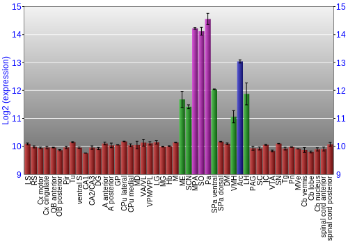 Multi-state expression graph