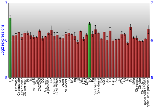 Multi-state expression graph