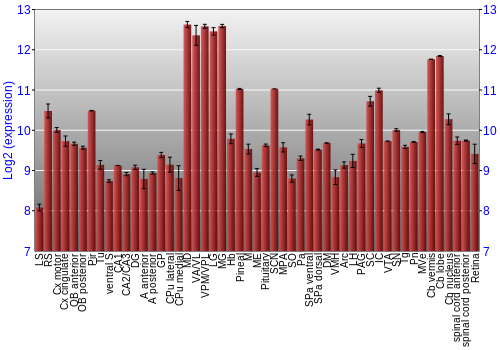 Expression graph