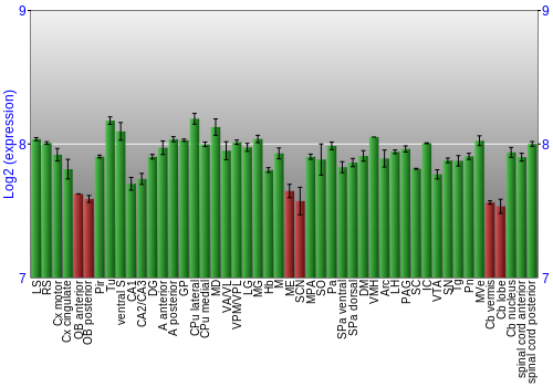 Multi-state expression graph
