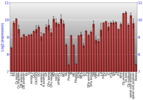 Expression graph