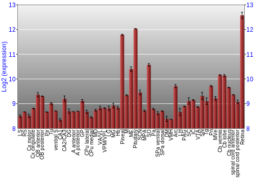 Expression graph