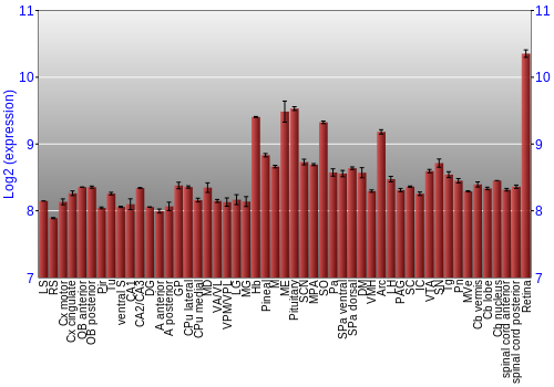 Expression graph