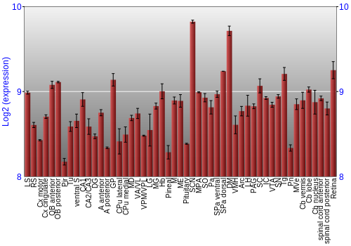 Expression graph