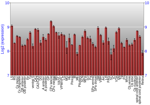 Expression graph