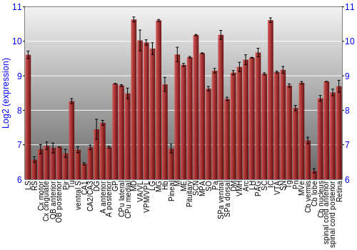 Expression graph
