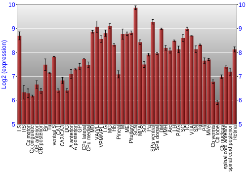 Expression graph