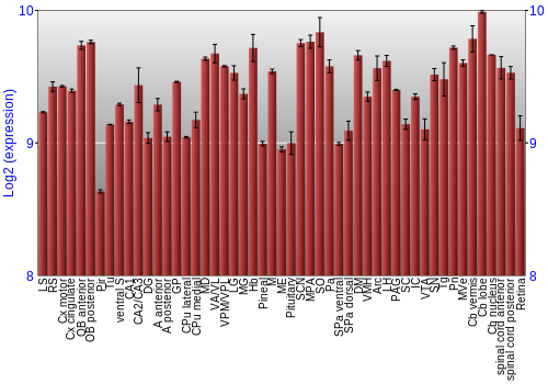 Expression graph