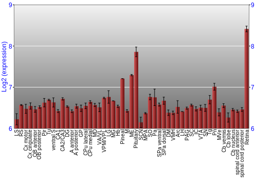 Expression graph