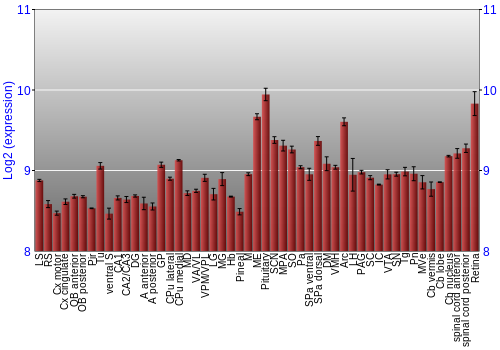 Expression graph