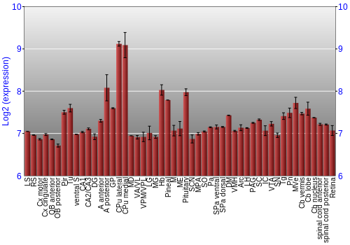 Expression graph