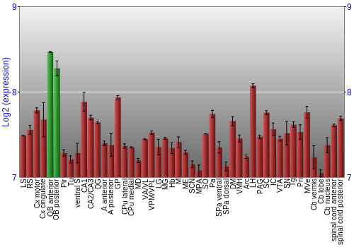 Multi-state expression graph