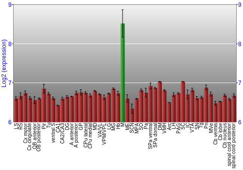 Multi-state expression graph