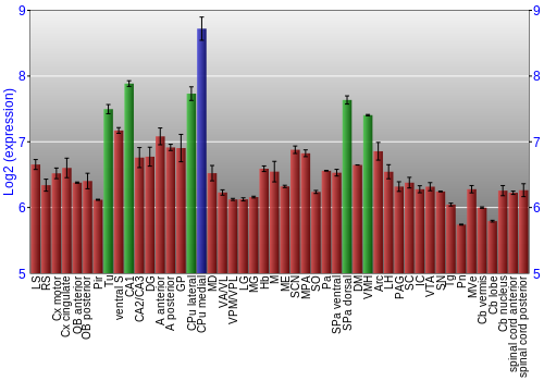 Multi-state expression graph