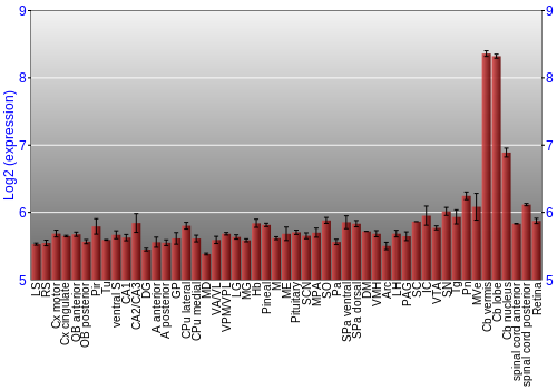 Expression graph
