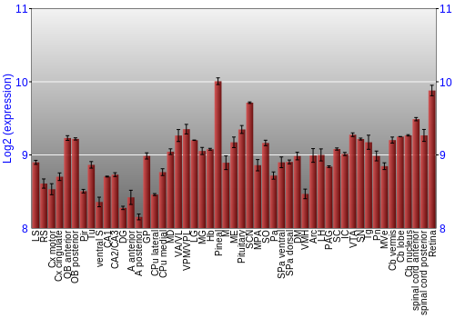 Expression graph