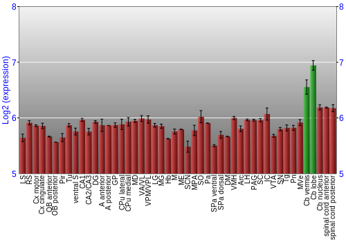 Multi-state expression graph