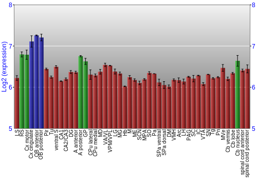 Multi-state expression graph