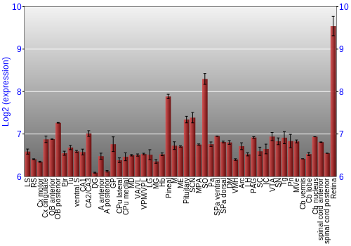Expression graph
