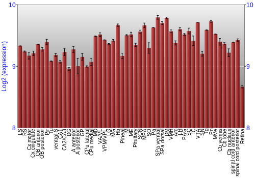 Expression graph