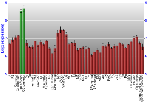 Multi-state expression graph