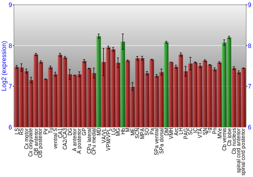 Multi-state expression graph