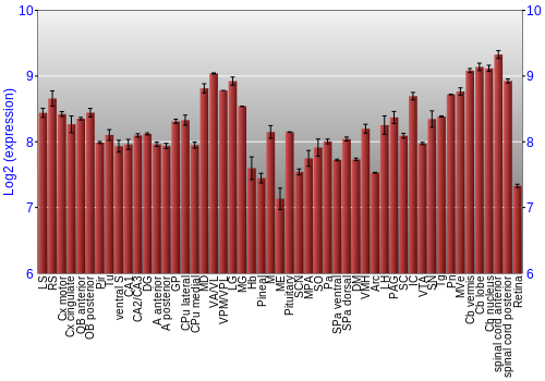 Expression graph