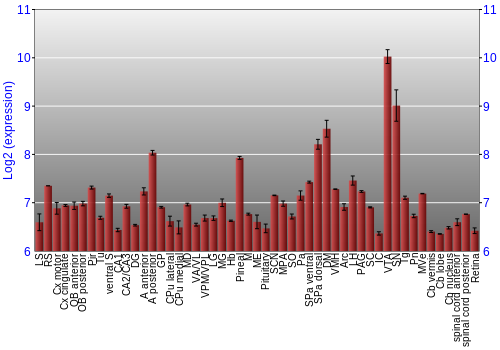Expression graph