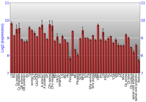 Expression graph