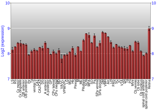 Expression graph