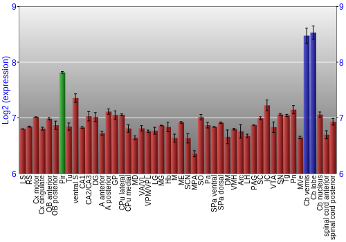 Multi-state expression graph