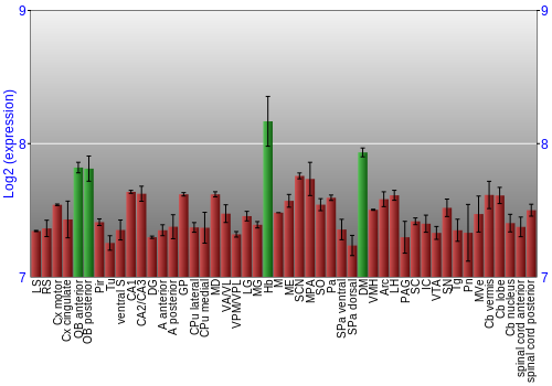 Multi-state expression graph