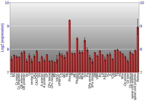 Expression graph