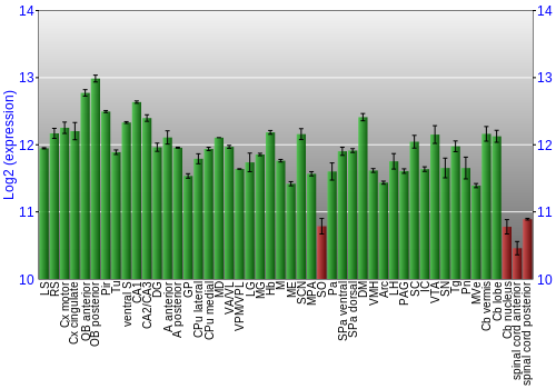 Multi-state expression graph