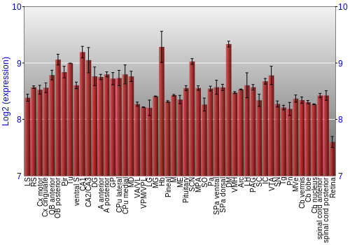 Expression graph