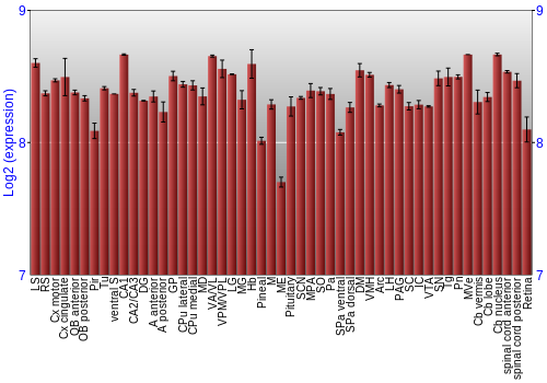 Expression graph