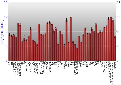 Expression graph