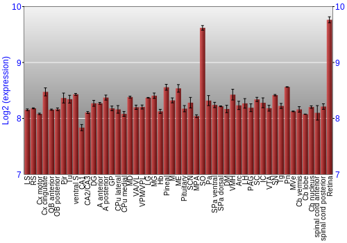 Expression graph