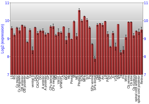 Expression graph